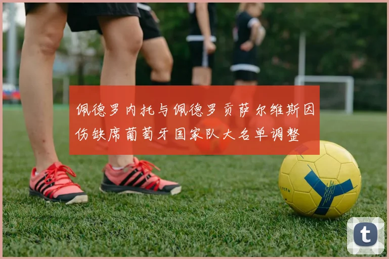 佩德罗内托与佩德罗贡萨尔维斯因伤缺席葡萄牙国家队大名单调整